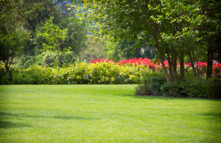 company garden